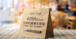 手提购物袋怎样设计才更加美观