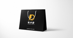 装饰礼品袋制作厂家设计印刷案例
