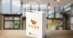购物手提袋上的印刷广告：品牌市场推广的新方式